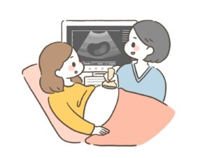 エコー検査で赤ちゃんの画像を見ている妊婦さんと検査技師のイラスト画像です。