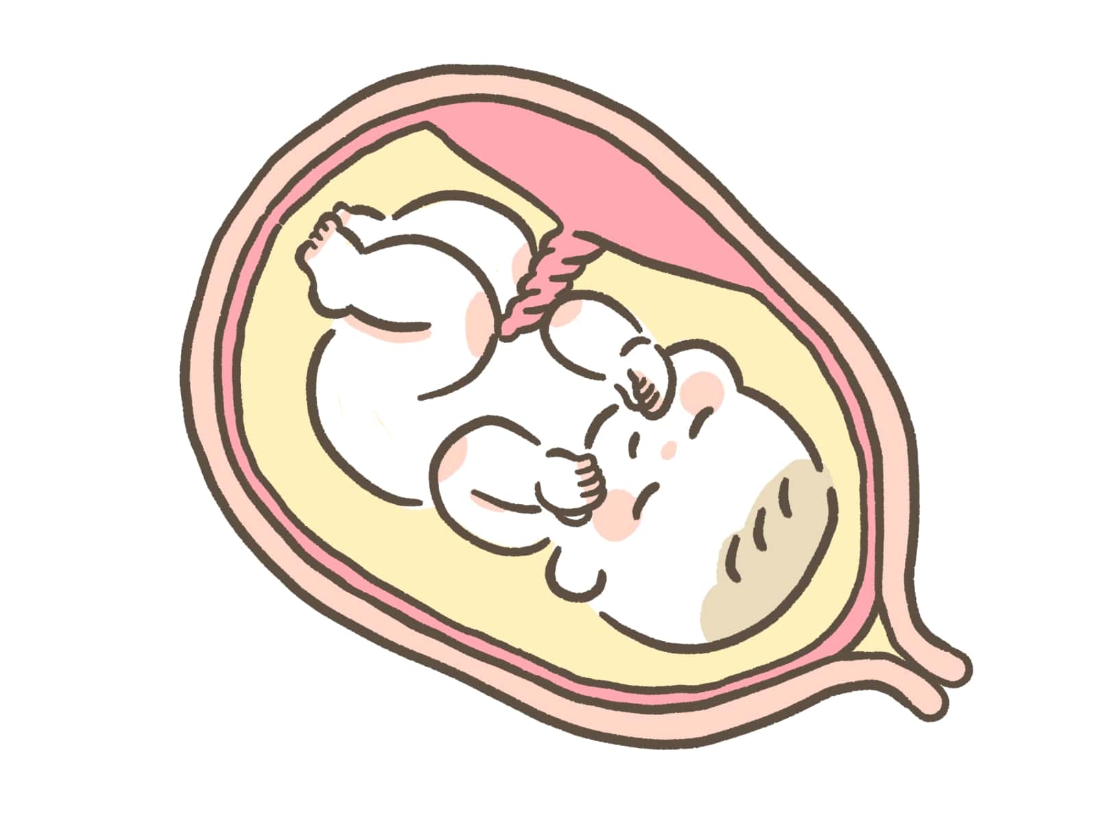 子宮の中で羊水に浮かぶ赤ちゃんを描いたイラスト画像です。